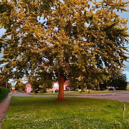 Juttchen Apartmán Rossleben