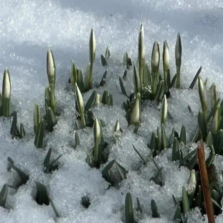Lejlighed Juttchen Rossleben