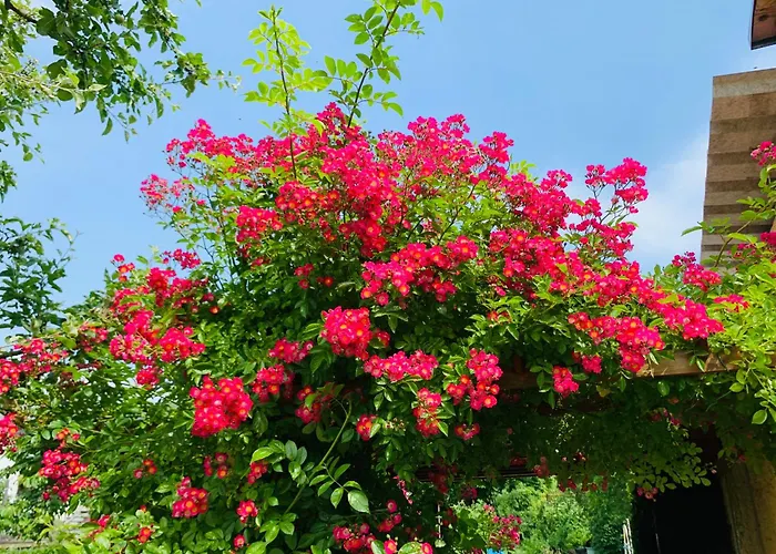 Juttchen Lejlighed Rossleben