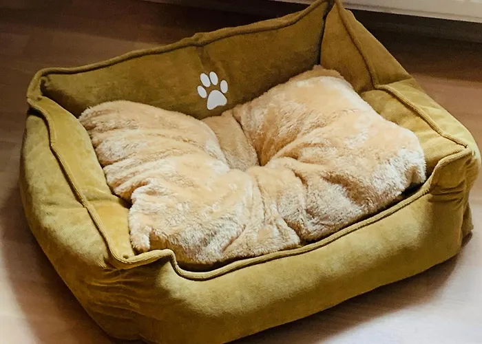 Juttchen Апартаменты