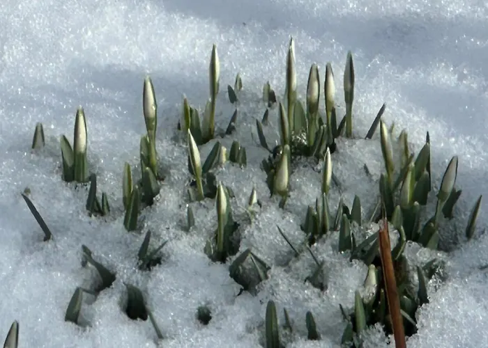 Lejlighed Juttchen Rossleben